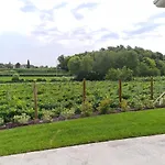 Le Aromatiche Appartement Cavaion Veronese