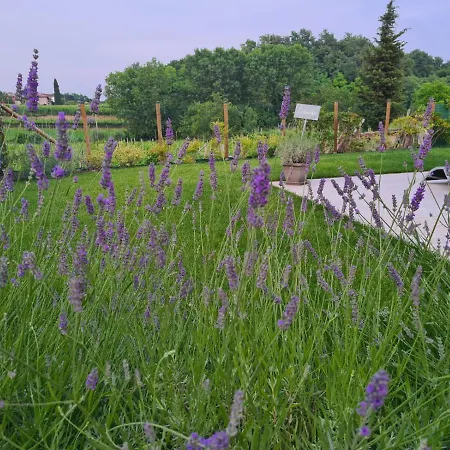 Апартаменты Le Aromatiche *